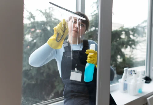 Nettoyage de vitres intérieures et extérieures à Trizac